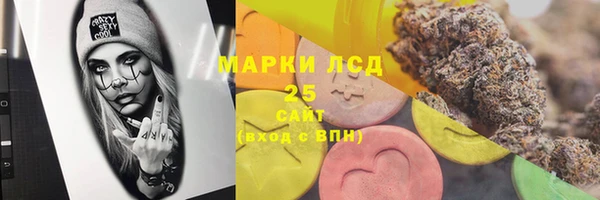 индика Новозыбков