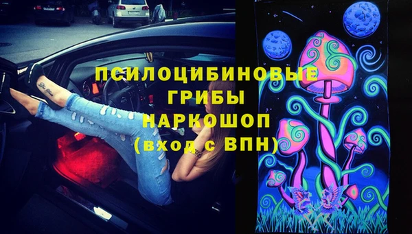 соль ск Арсеньев